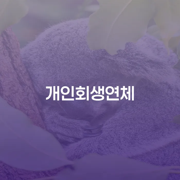 채무자회생및파산에관한법률 개인회생,개인파산으로 전문가와 함께