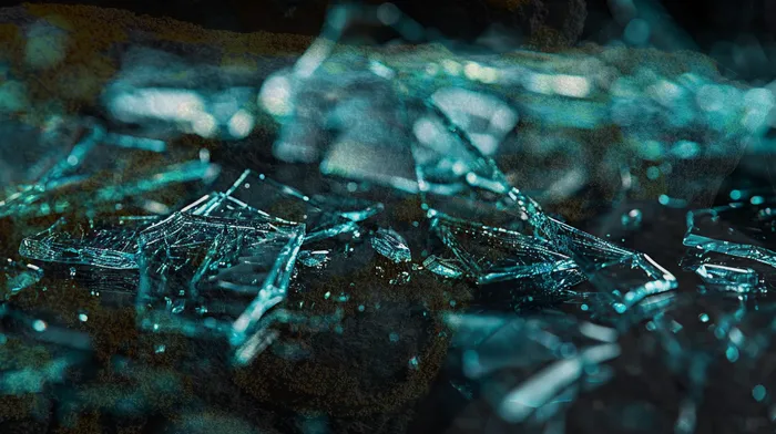 개인회생변호사