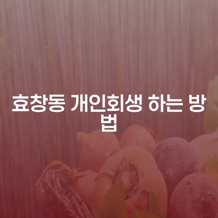 효창동 개인회생, 어떻게 효율적으로 진행할 수 있을까요?